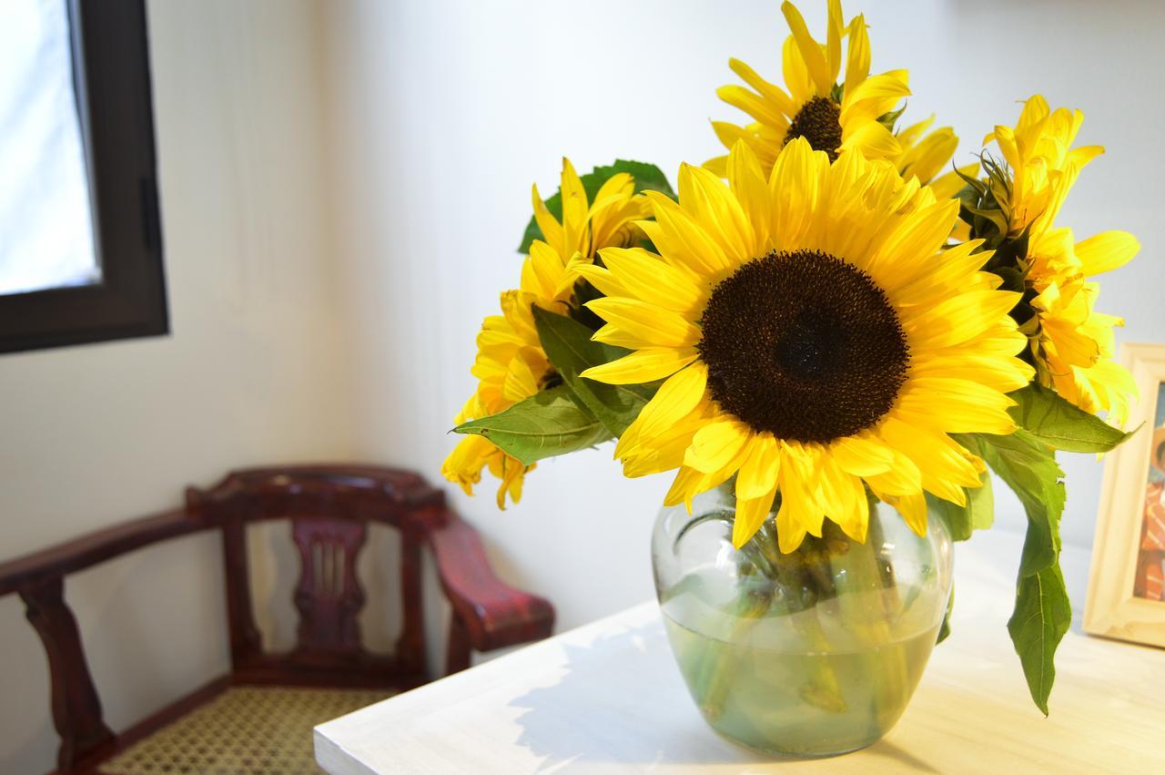 Bed and Breakfast Casa Girasol Antigua Esterno foto